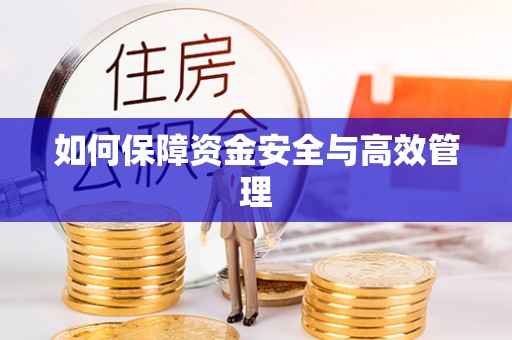 陇川如何保障资金安全与高效管理