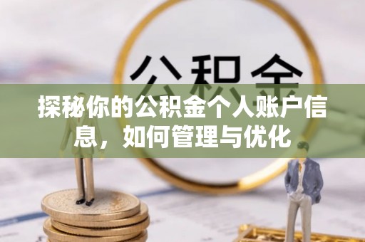 陇川探秘你的公积金个人账户信息，如何管理与优化