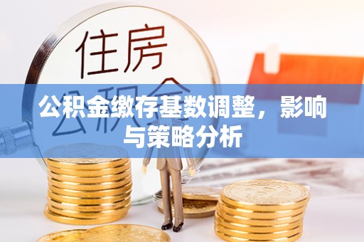 陇川公积金缴存基数调整，影响与策略分析