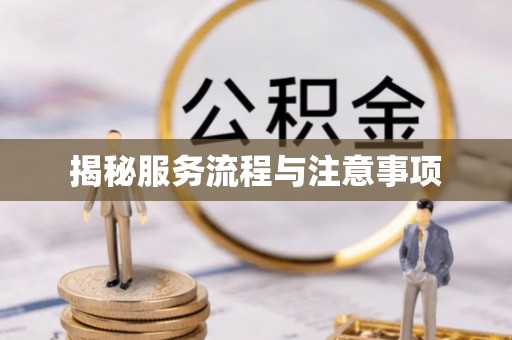 陇川揭秘服务流程与注意事项