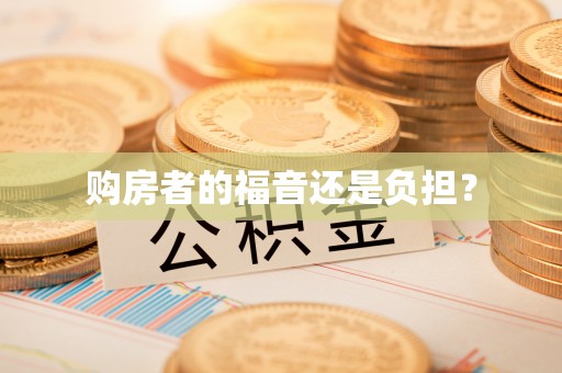 陇川购房者的福音还是负担？