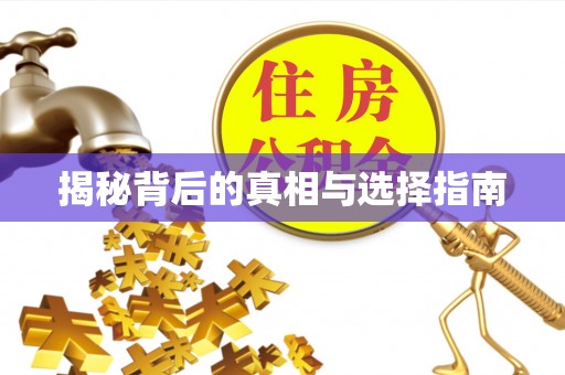 陇川揭秘背后的真相与选择指南