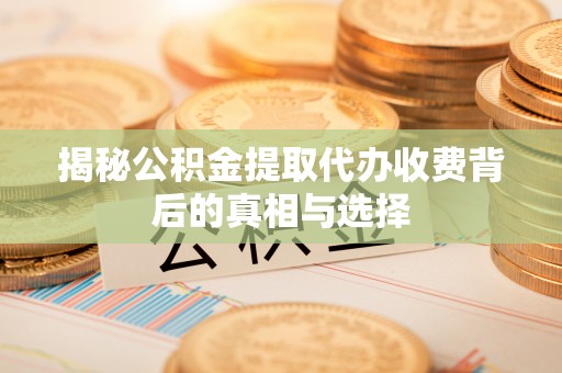 陇川揭秘公积金提取代办收费背后的真相与选择
