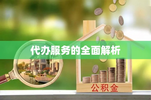 陇川代办服务的全面解析