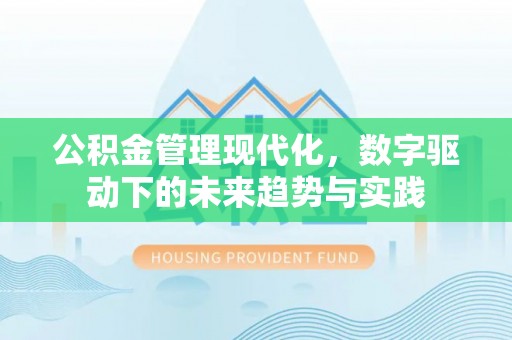 陇川公积金管理现代化，数字驱动下的未来趋势与实践