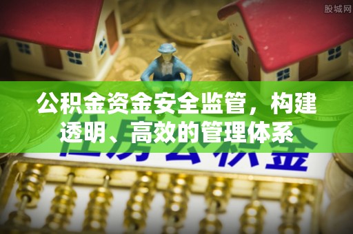 陇川公积金资金安全监管，构建透明、高效的管理体系