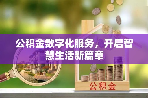 陇川公积金数字化服务，开启智慧生活新篇章