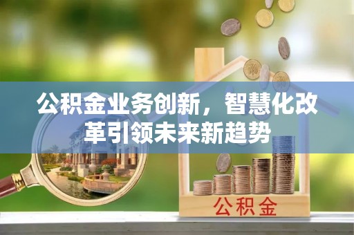 陇川公积金业务创新，智慧化改革引领未来新趋势
