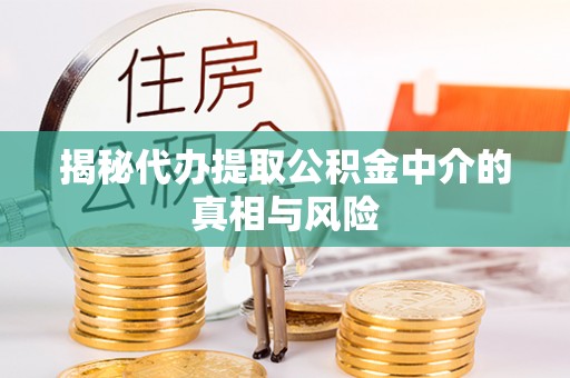 陇川揭秘代办提取公积金中介的真相与风险