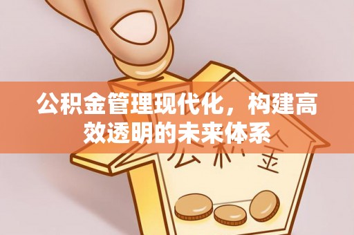 陇川公积金管理现代化，构建高效透明的未来体系