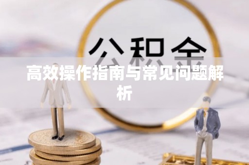 陇川高效操作指南与常见问题解析