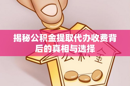 陇川揭秘公积金提取代办收费背后的真相与选择