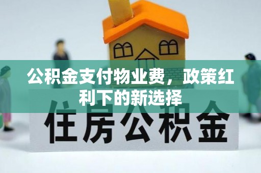陇川公积金支付物业费，政策红利下的新选择