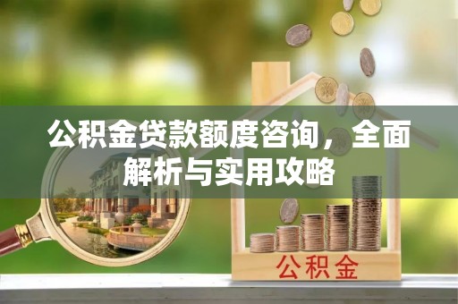 陇川公积金贷款额度咨询，全面解析与实用攻略