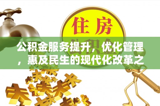 陇川公积金服务提升，优化管理，惠及民生的现代化改革之路