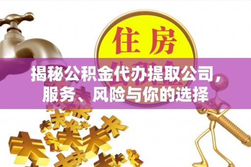 陇川揭秘公积金代办提取公司，服务、风险与你的选择