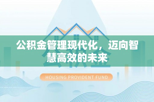 陇川公积金管理现代化，迈向智慧高效的未来