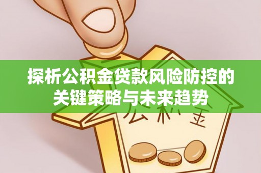 陇川探析公积金贷款风险防控的关键策略与未来趋势