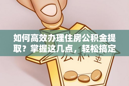 陇川如何高效办理住房公积金提取？掌握这几点，轻松搞定！
