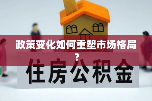 陇川政策变化如何重塑市场格局？