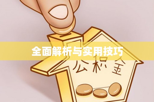 陇川全面解析与实用技巧