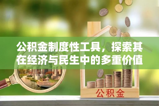 陇川公积金制度性工具，探索其在经济与民生中的多重价值