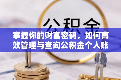 陇川掌握你的财富密码，如何高效管理与查询公积金个人账户信息
