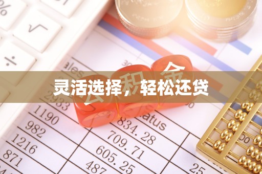 陇川灵活选择，轻松还贷