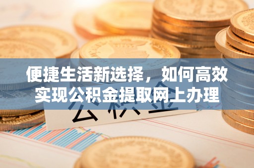 陇川便捷生活新选择，如何高效实现公积金提取网上办理
