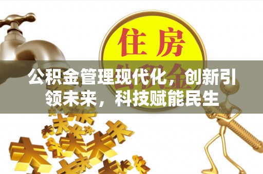 陇川公积金管理现代化，创新引领未来，科技赋能民生
