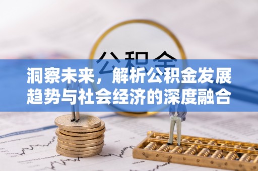 陇川洞察未来，解析公积金发展趋势与社会经济的深度融合