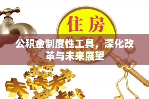 陇川公积金制度性工具，深化改革与未来展望