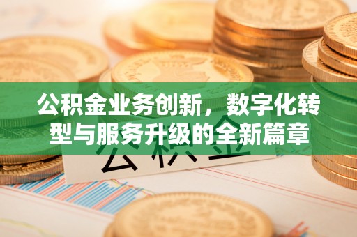 陇川公积金业务创新，数字化转型与服务升级的全新篇章