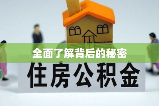 陇川全面了解背后的秘密