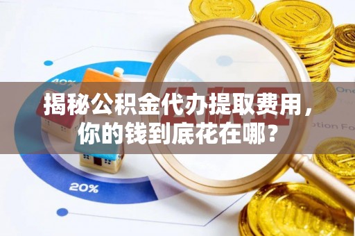 陇川揭秘公积金代办提取费用，你的钱到底花在哪？