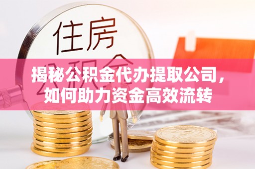 陇川揭秘公积金代办提取公司，如何助力资金高效流转