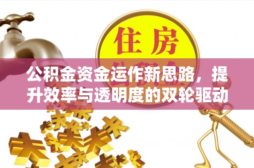 陇川公积金资金运作新思路，提升效率与透明度的双轮驱动
