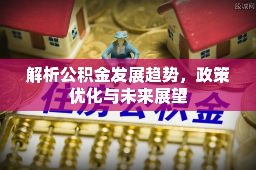 陇川解析公积金发展趋势，政策优化与未来展望