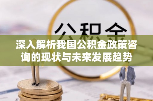陇川深入解析我国公积金政策咨询的现状与未来发展趋势