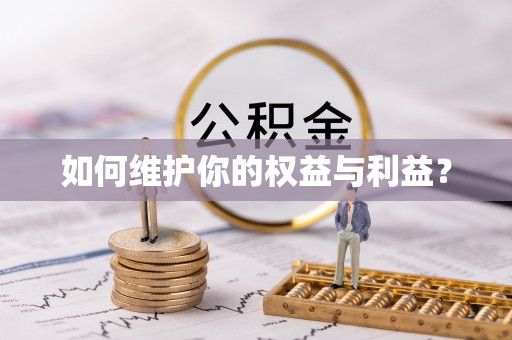 陇川如何维护你的权益与利益？