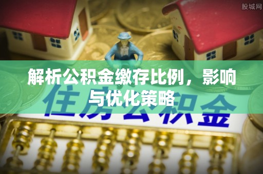 陇川解析公积金缴存比例，影响与优化策略