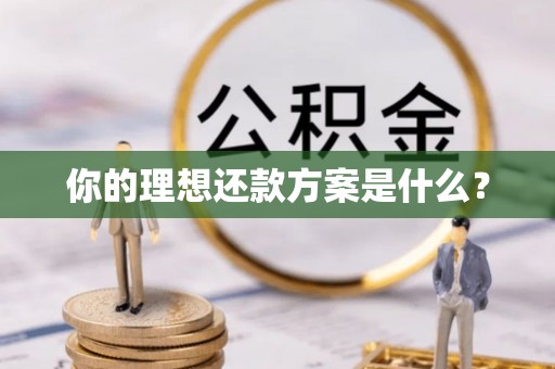 陇川你的理想还款方案是什么？