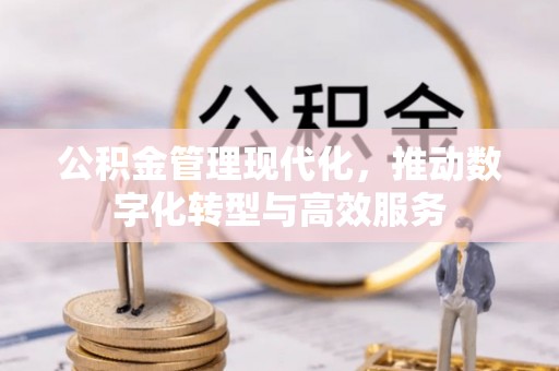 陇川公积金管理现代化，推动数字化转型与高效服务