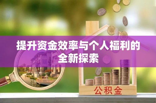 陇川提升资金效率与个人福利的全新探索