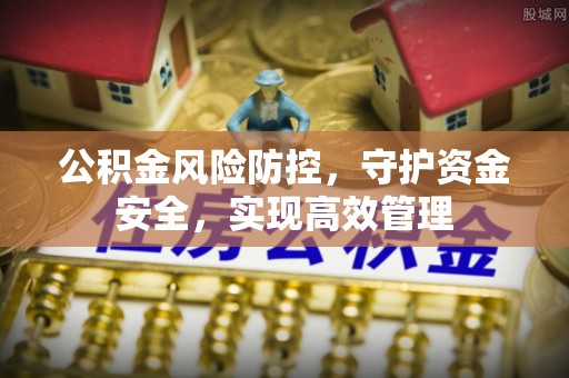 陇川公积金风险防控，守护资金安全，实现高效管理