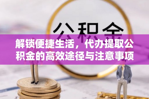 陇川解锁便捷生活，代办提取公积金的高效途径与注意事项