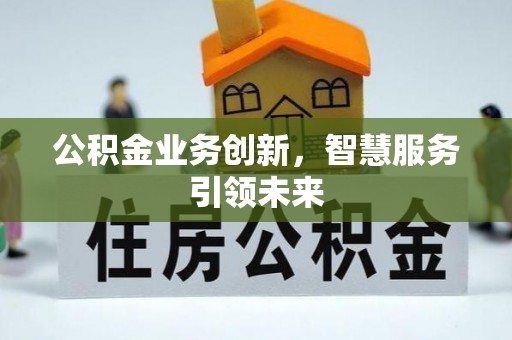 陇川公积金业务创新，智慧服务引领未来
