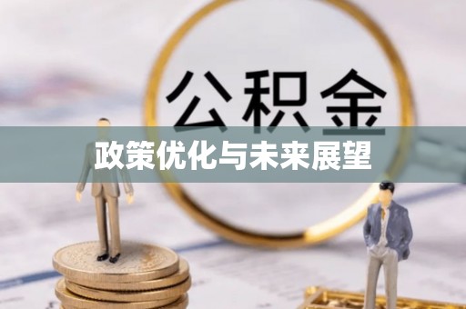 陇川政策优化与未来展望