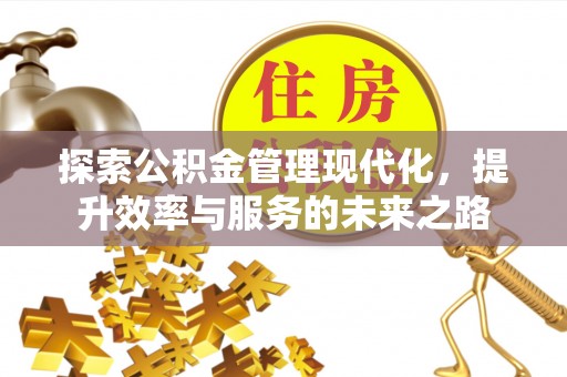 陇川探索公积金管理现代化，提升效率与服务的未来之路
