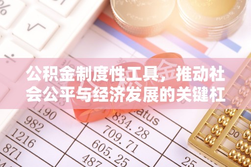 陇川公积金制度性工具，推动社会公平与经济发展的关键杠杆